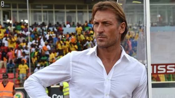 Ivory Coast's coach Herve Renard attends the 2015 African Cup of Nations group D football match between Ivory Coast and Mali in Malabo on January 24, 2015. AFP PHOTO / ISSOUF SANOGO (Photo credit should read ISSOUF SANOGO/AFP/Getty Images)