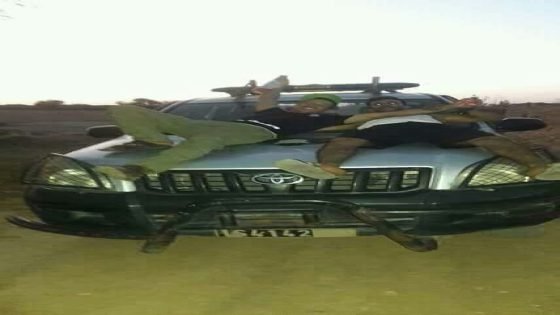 اعتقال ثلاثة اشخاص تطاولوا على سيارة الدرك وهم في حالة سكر طافح