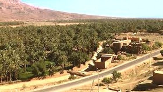 ورزازات تحتضن المنتدى الدولي الثامن للسياحة التضامنية