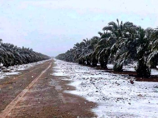 الرشيدية : تساقطات مطرية و ثلجية تشهدها مرتفعات الأطلس الكبير الشرقي و الأطلس الصغير