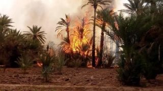 الرياح تتسبب في اندلاع حريق مهول بأكادير