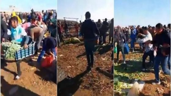 توقيف 20 شخصا اثاروا الفوضى بالسوق الاسبوعي اولاد جلول ضواحي القنيطرة