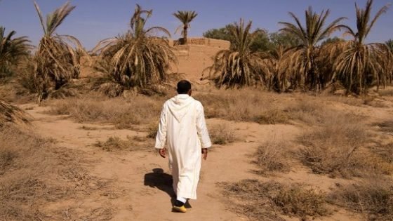 لظروف الجوية غير المواتية سبب رئيس في شح التساقطات المطرية بالمغرب