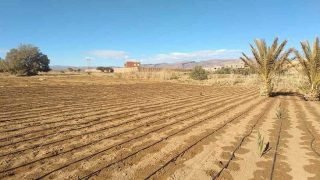 نقابة تطالب بفتح تحقيق في ملف دعم الفلاحين بزاكورة