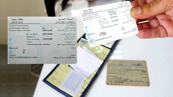 البطاقة الرمادية في مؤسسات البريد.. تقريب الإدارة من المواطنين - الحدث بريس