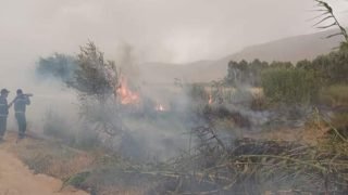 أزيلال/أفورار: صاعقة برق تضرب فدانا وتحرق محصول الحبوب