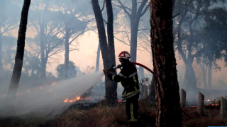 صورة من الارشيف