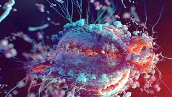 فيروس لانجيا