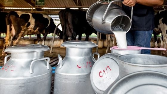 تعرف على تدابير وزارة الفلاحة لتجاوز مشكل نقص الحليب