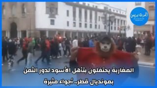 المغاربة يحتفلون بتأهل الأسود لدور الثمن بمونديال قطر … أجواء مثيرة