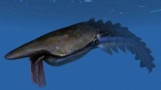 سابقة.. إكتشاف حفريات عملاقة ضواحي زاكورة