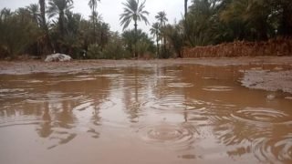 خبير.. الأمطار الرعدية المسجلة بمدن الجنوب الشرقي ستجنب الساكنة شبح العطش