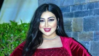 هل تتزوج دنيا بطمة مرة ثانية بعد طلاقها من الترك؟
