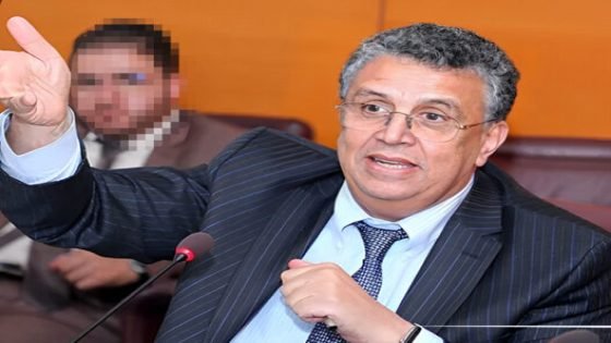 وهبي يعد بتوفير الحصانة لرجال الأعمال والسياسيين