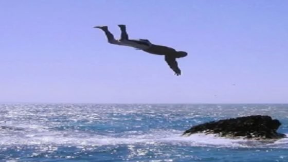 شواطئ .. أرواح تحصد بسبب قفزات وصفت بالإنتحارية