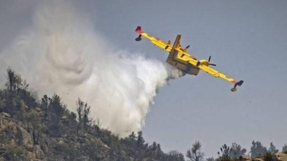حريق غابة “مغراوة” بتازة تحت السيطرة (مسؤول)