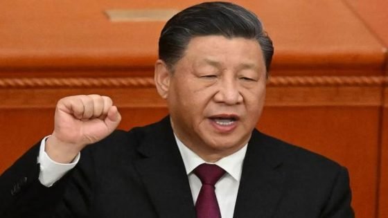 الرئيس الصيني سيلتقي زعماء أفارقة خلال قمة بريكس