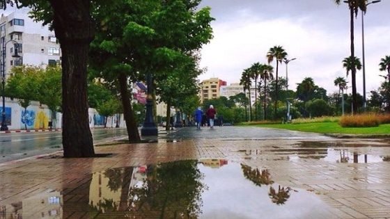 طقس الإثنين.. برودة مع نزول أمطار رعدية في هذه المدن