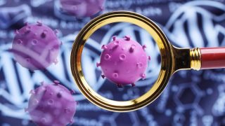 مطالب جديدة للصين بـ”وصول كامل” للتحقيق في منشأ كوفيد-19