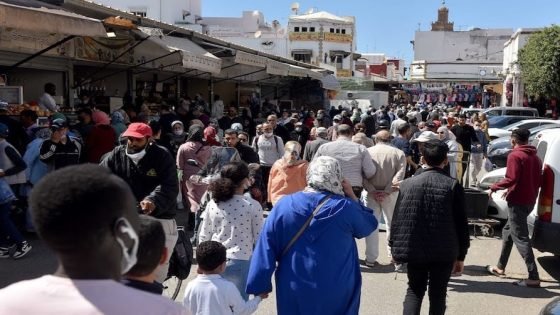 254 إصابة جديدة بكورونا دون تسجيل وفيات خلال أسبوع