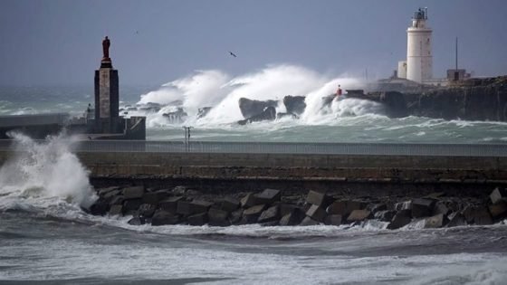 ميناء طريفة يعلن توقف الرحلات البحرية مع ميناء طنجة المدينة لهذا السبب!