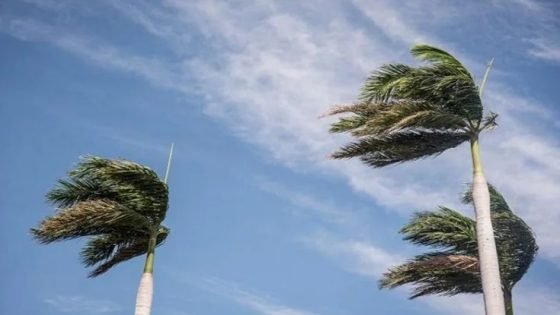 مديرية الارصاد تحذر من رياح قوية محملة بالغبار بهذه المدن المغربية