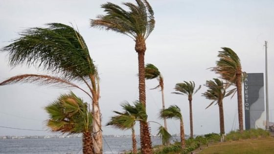 طقس الإثنين.. حرارة ورياح قوية في مناطق مختلفة من المملكة