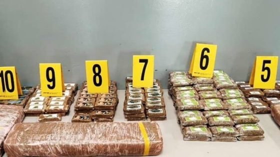 طنجة.. إجهاض عملية للتهريب الدولي لمخدر الشيرا