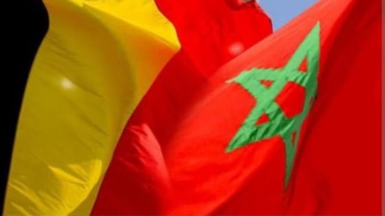 التعاون بين المغرب وبلجيكا في مجال العدالة مستمر حسب المديرية العامة للأمن الوطني