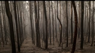 الارض تواجه خمس نقاط تهدد البشرية حسب “تحولات كوكبية”