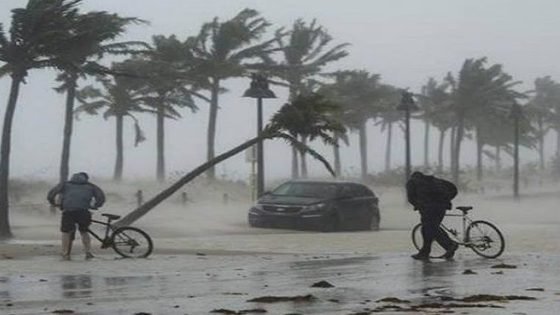 عاجل.. تحذير من رياح قوية بدءا من الخميس