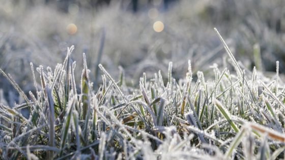 طقس الإثنين.. موجة برد تجتاح عدة مناطق بالمملكة