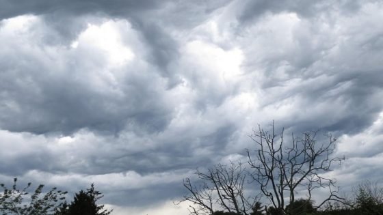 طقس الخميس.. استمرار الطقس البارد بهذه المناطق