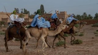 محاميد الغزلان.. التصوف في قلب النسخة 19 للمهرجان الدولي للرحل