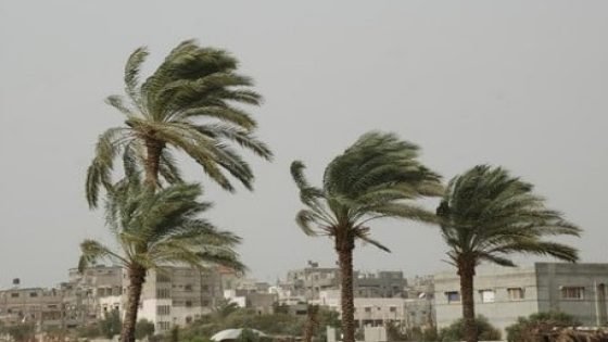 الأرصاد الجوية : رياح قوية في مناطق مغربية