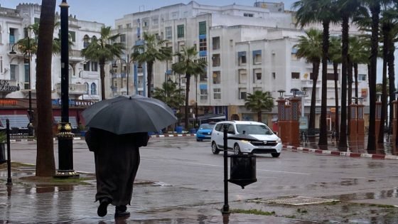 قطرات مطرية متفرقة.. توقعات أحوال الطقس اليوم الاثنين