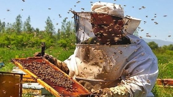 أسواق الاتحاد الأوروبي تفتح أبوابها أمام العسل المغربي