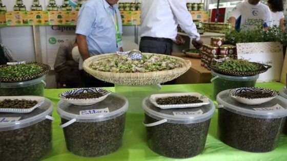 آسفي : إنطلاق النسخة السادسة للمعرض الوطني للكبار