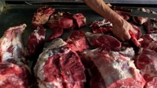 خطير: حجز أزيد من 300 كلغ من اللحوم الفاسدة بالمضيق