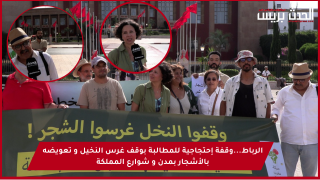 الرباط…وقفة إحتجاجية للمطالبة بوقف غرس النخيل و تعويضه بالأشجار بمدن و شوارع المملكة