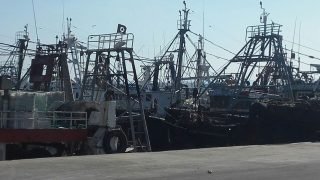 ميناء طانطان..إنخفاض مفرغات الصيد الساحلي و التقليدي بـ48 في المائة عند متم يونيو