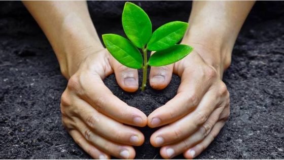 دراسة تظهر إرتباط زراعة الأشجار بإنخفاض إلتهابات الجسم