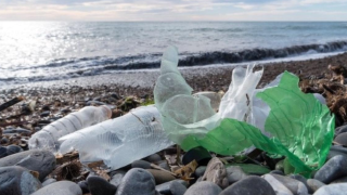 حملة “بحر بلا بلاستيك 2024” تصل إلى محطتها الأخيرة بجهة الداخلة وادي الذهب