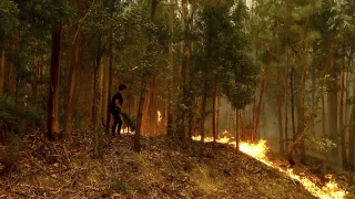 البرتغال..هدوء نسبي مع إستمرار عشرات الحرائق في شمال البلاد