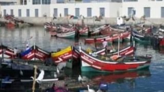 ارتفاع حجم تفريغ الأسماك خلال النصف الأول من سنة 2024 بميناءالجديدة إلى 22%