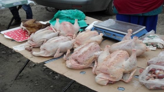 الحوز : فضيحة حجز 90 كيلوغرام من الدجاج الفاسد