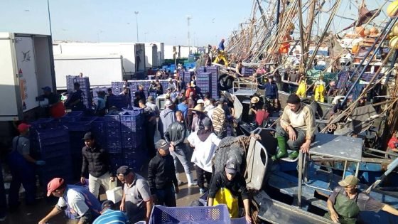 ميناء الناظور..إنخفاض كمية مفرغات الصيد البحري بـ10 بالمائة عند متم غشت