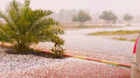 عاجـــــــل | تحذير من الأرصاد: أمطار غزيرة وزخات بردية تهدد عدة مناطق اليوم!