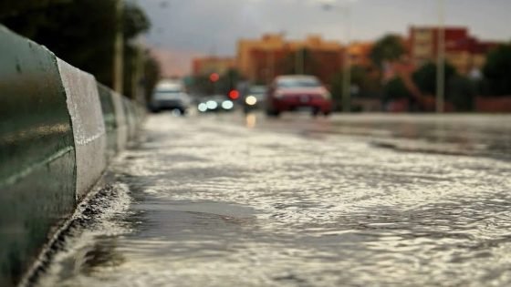 الأرصاد الجوية: ارتفاع طفيف في درجات الحرارة وتوقعات بهطول أمطار محلية