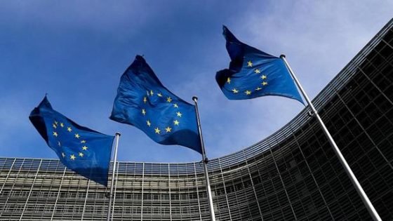 الاتحاد الأوروبي والدول الأعضاء يعربون عن تشبثهم الراسخ بالشراكة الاستراتيجية مع المغرب